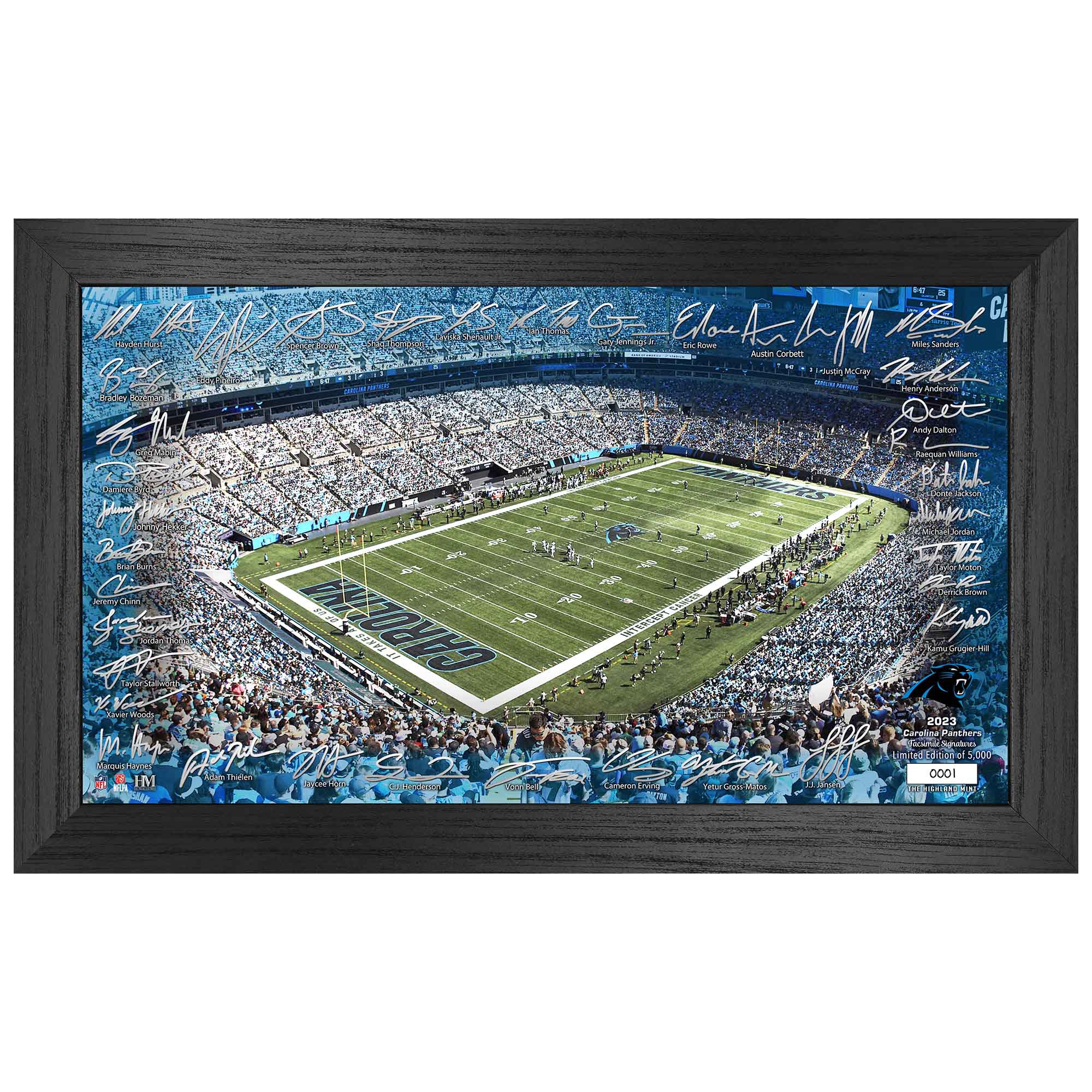 Carolina Panthers 2023/24 Signature Stadium Framed NFL Photo