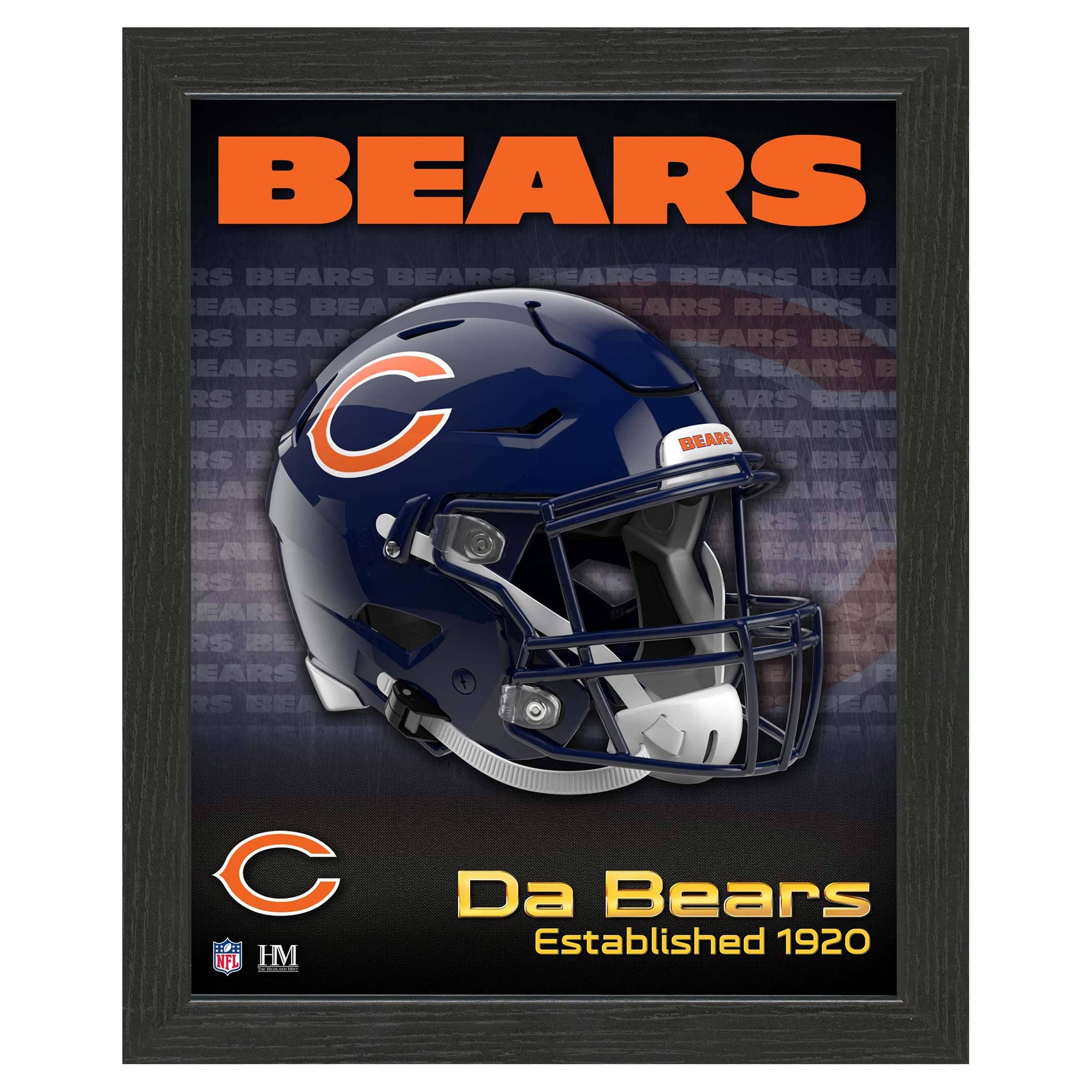 Chicago Bears NFL Team Helmet Framed Photo