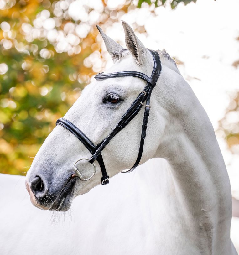 Horseware® Cavesson Bridle