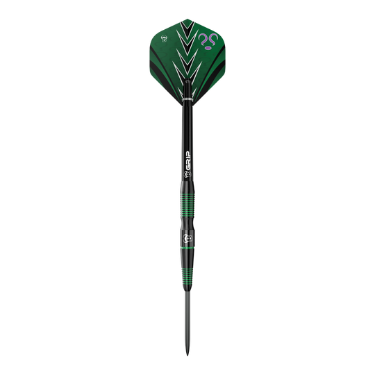 Bulls Brian Raman G2 steel darts