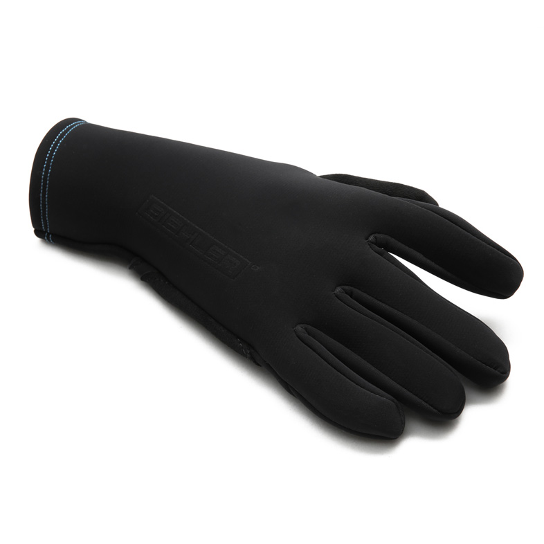 Biehler Winter Gloves - black