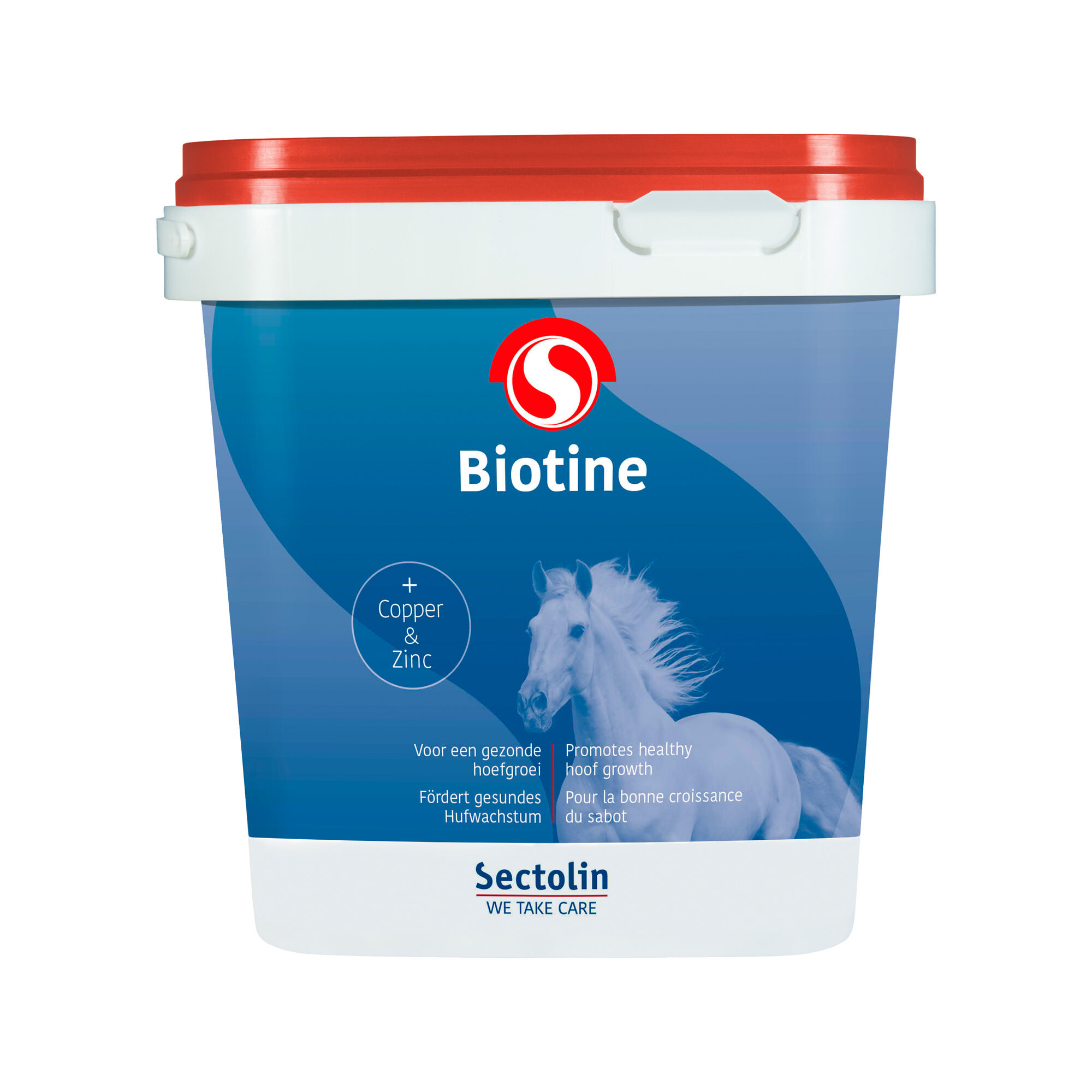 Sectolin Biotin - 1kg