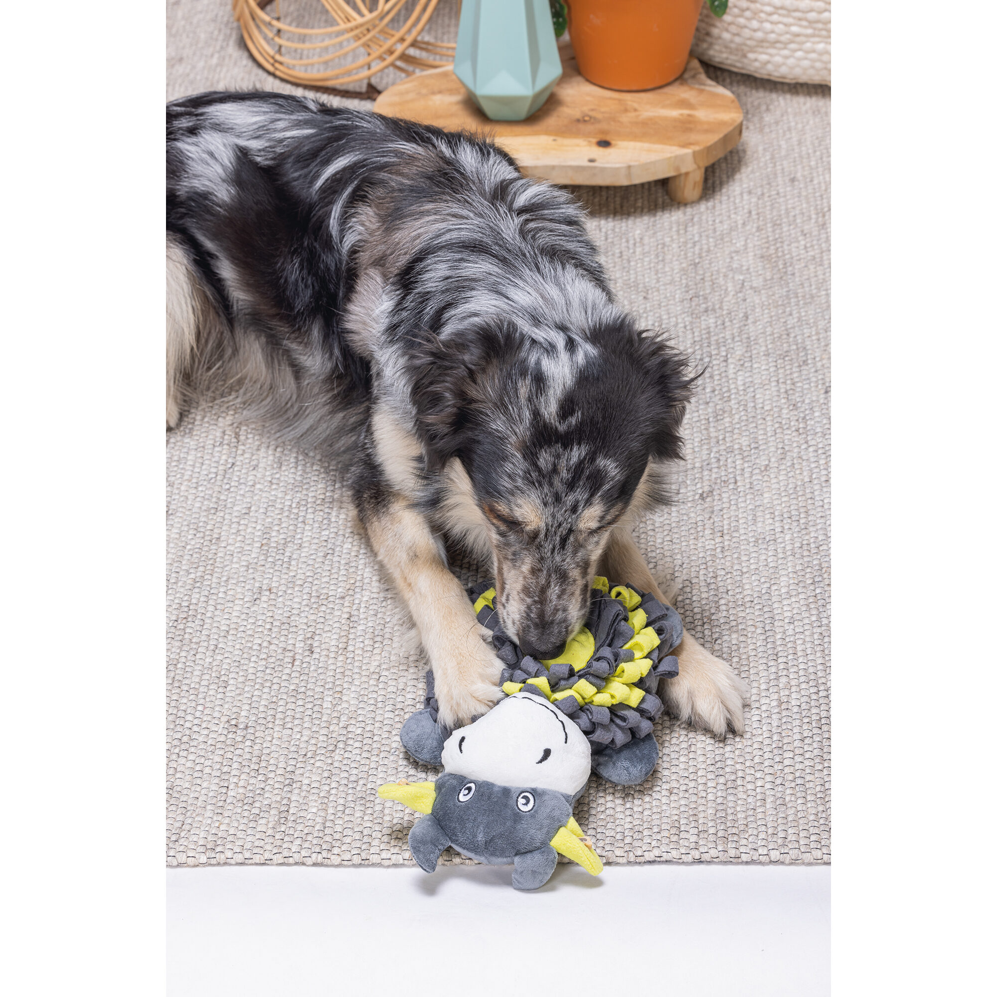 Beeztees Hide And Seek Cow