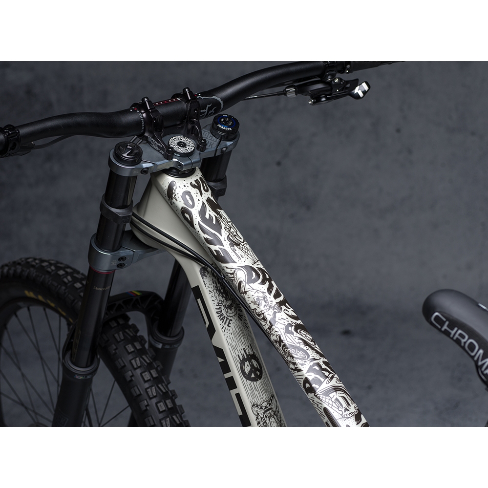 DYEDBRO Frame Protection Kit Fluor - black gloss