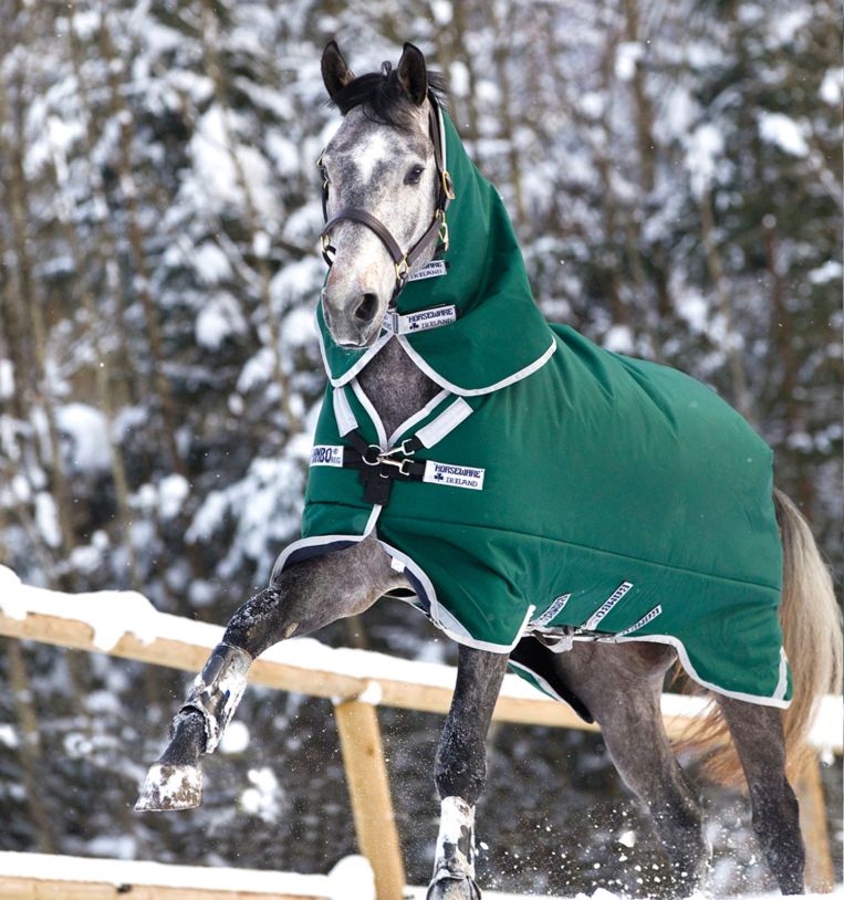 Rambo® Original Turnout with Leg Arches (400g Heavy)