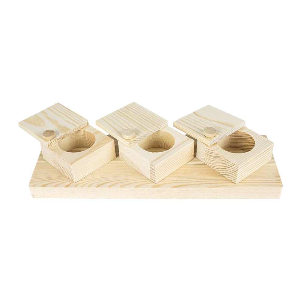 Back Zoo Nature Brain Trainer Cups