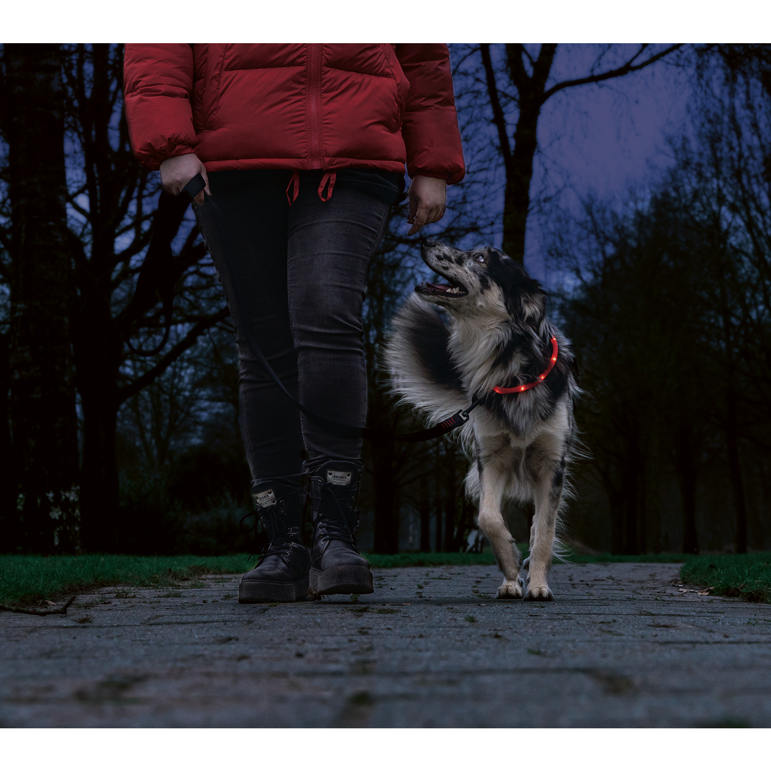 Beeztees Safety Gear Dogini - Red - 35 cm