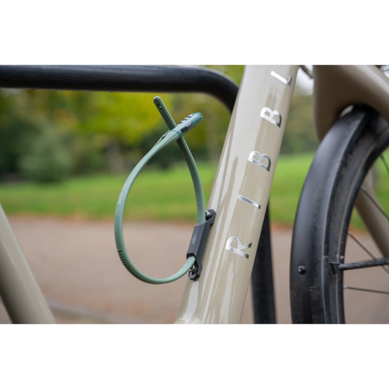 Hiplok Z-Lok Combo V2 45 cm Armored Tie Lock with Combination Lock - green