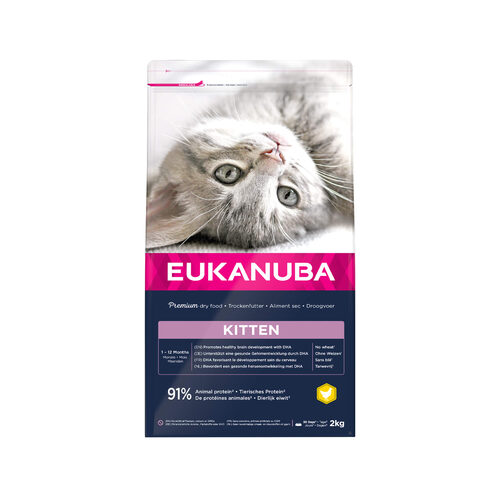 Eukanuba Kitten Healthy Start  - 2kg