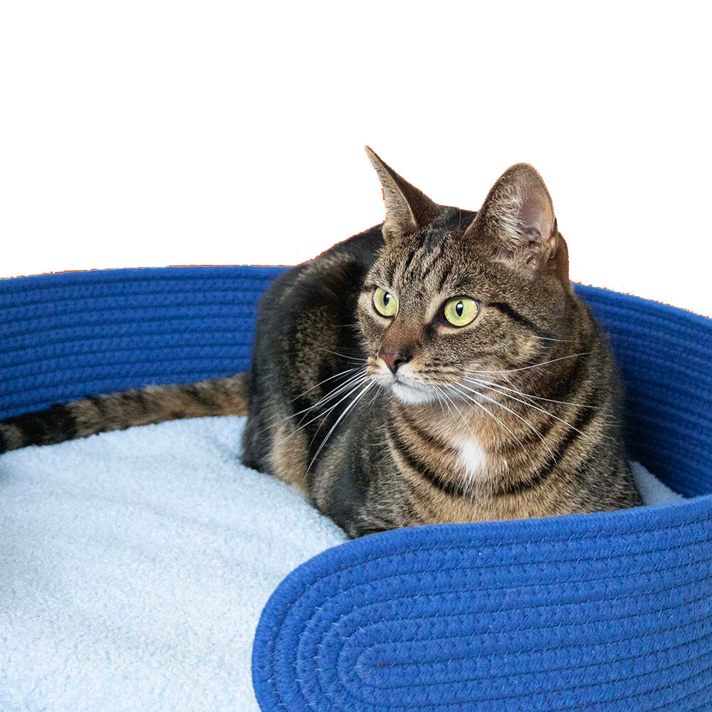 Coockoo Lazy Lounge Cat Basket - Blue