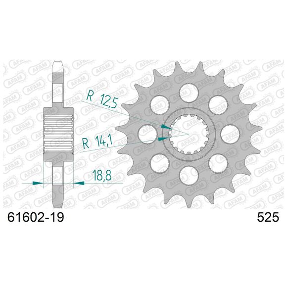 Kit chaine AFAM 525 Type AcierRef : 16480131 / KIT105971