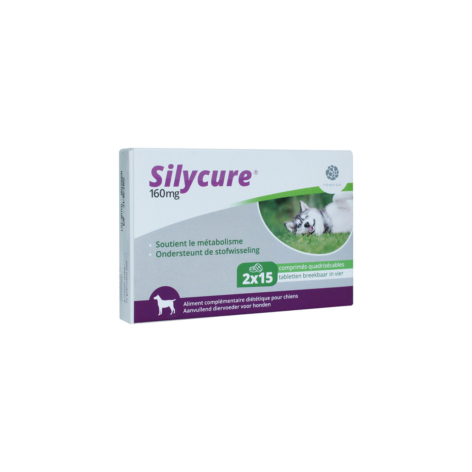 Silycure 40 mg - 60 tablets