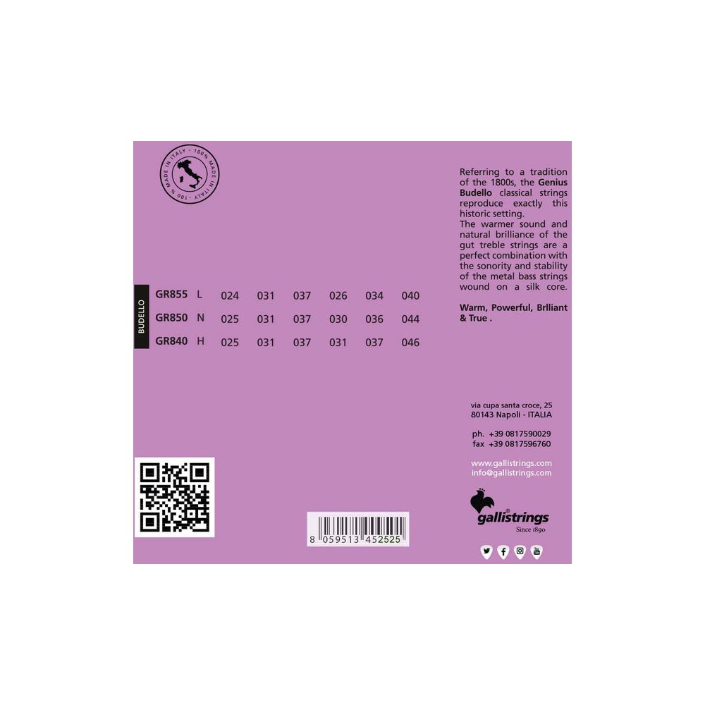 Galli Strings GR855 Genius Budello Guitar – Thomann Ireland