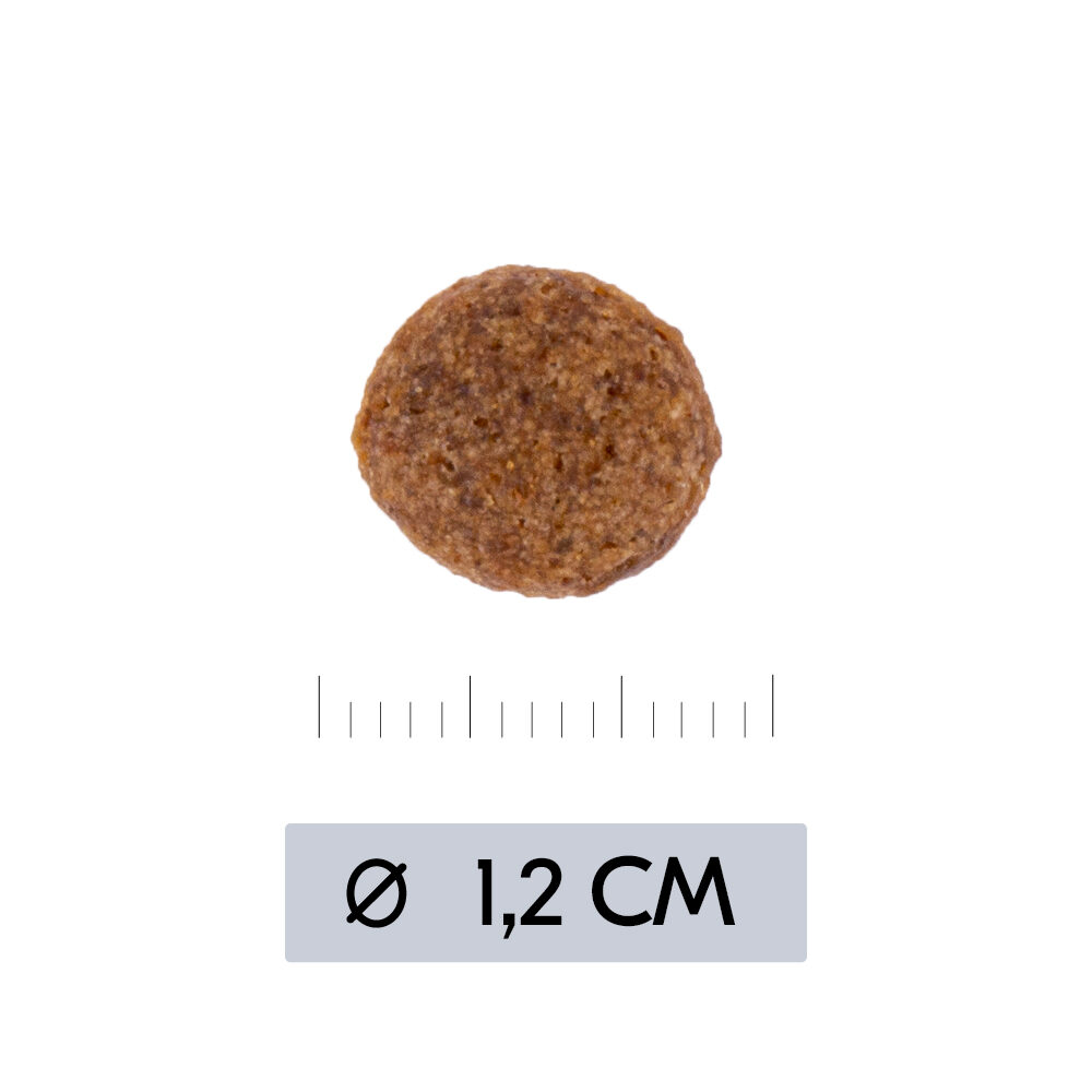 Vetality Hypoallergenic Dog - 10kg