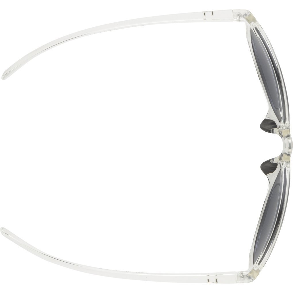 Alpina Nacan II Glasses - transparent/smoke