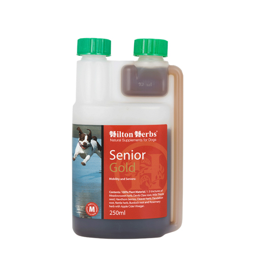 Hilton Herbs Senior Gold for Dogs - 250ml