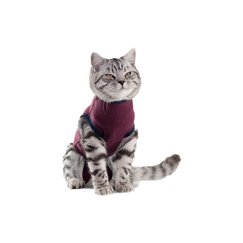 Jacketz Medical Bodysuit Cat - XXXS