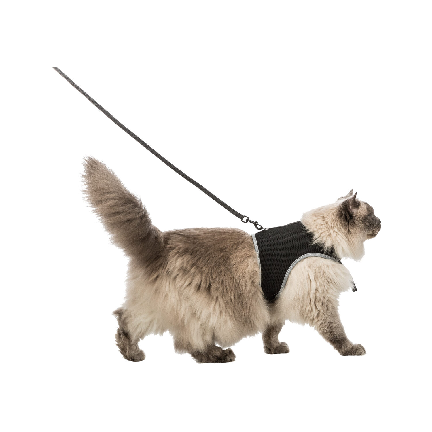 Trixie Soft Harness with Leash - 24 to 42cm - Random