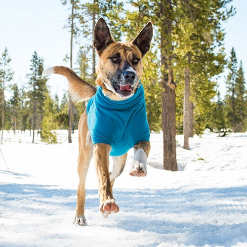 Ruffwear Climate Changer Fleece Jacket - XL - Blossom