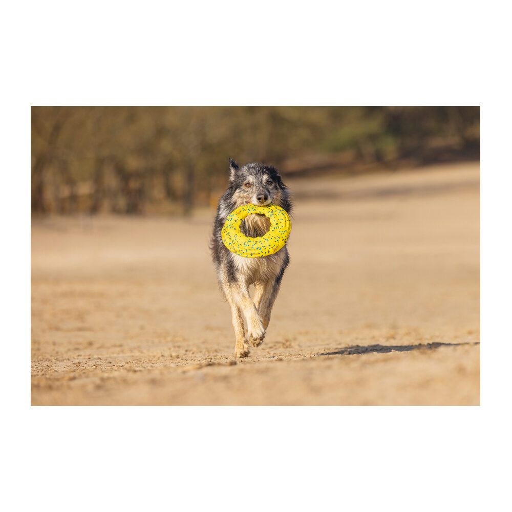 Beeztees Foam Frisbee - Yellow