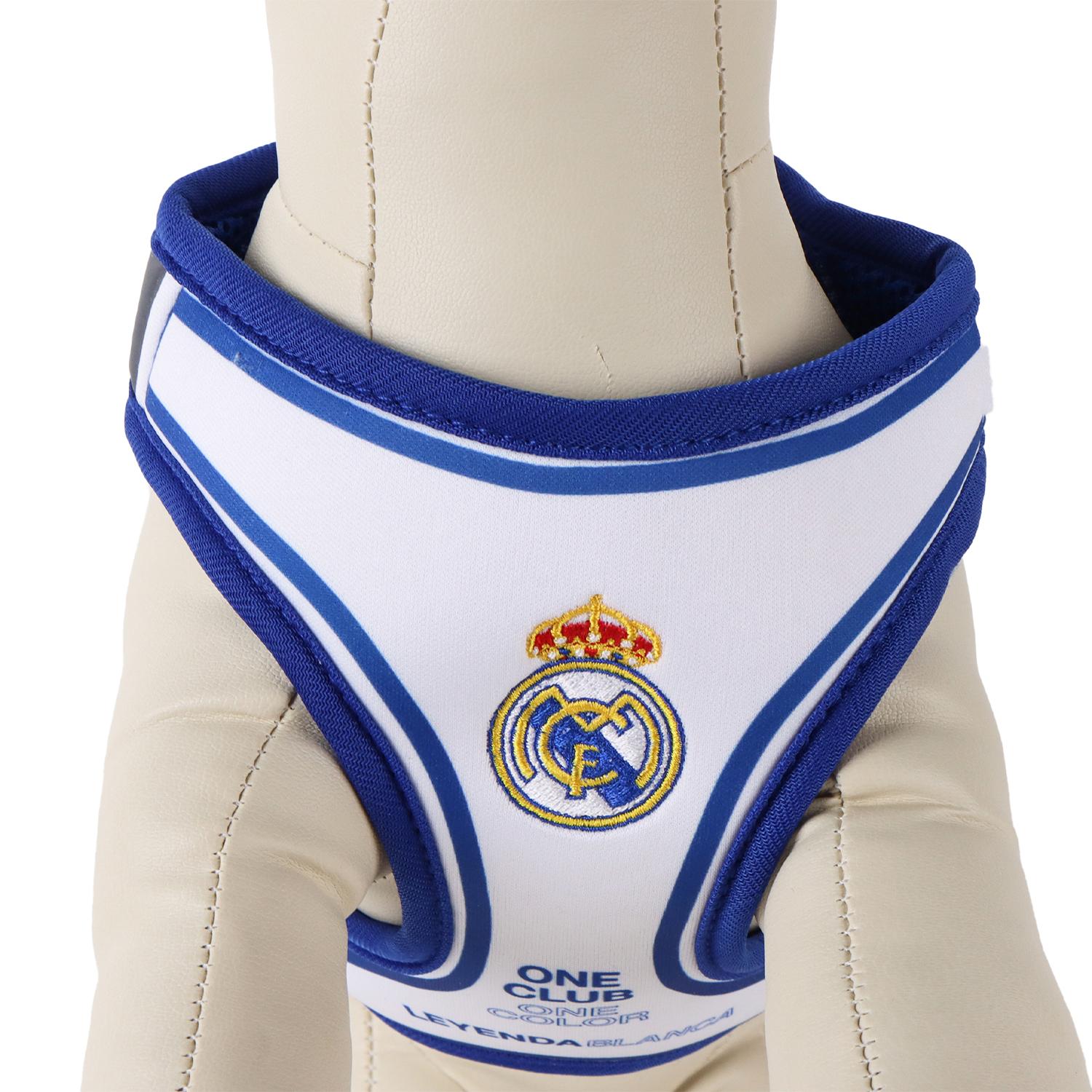 Dog Harness XXS Blue