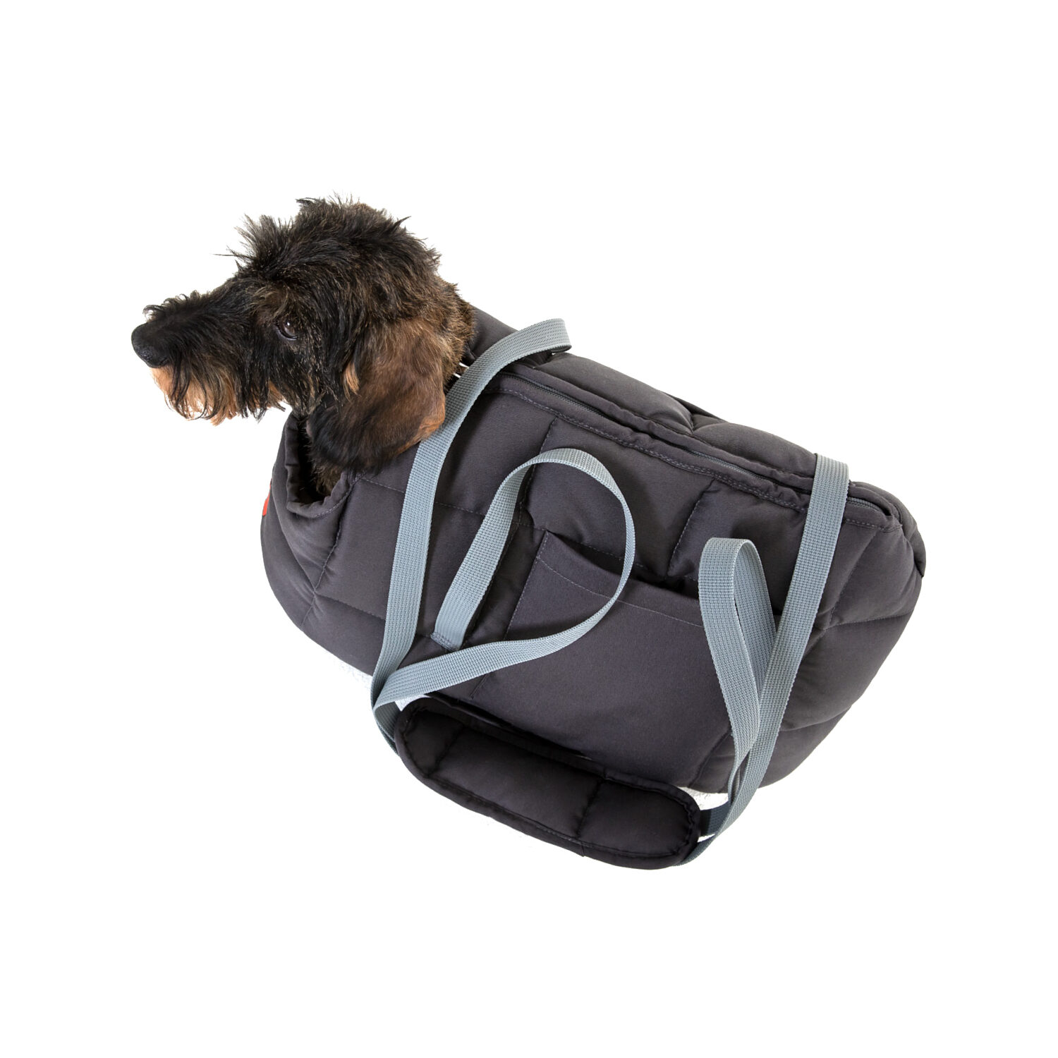 Doctor Bark Dog Carrier Bag - S - Grey