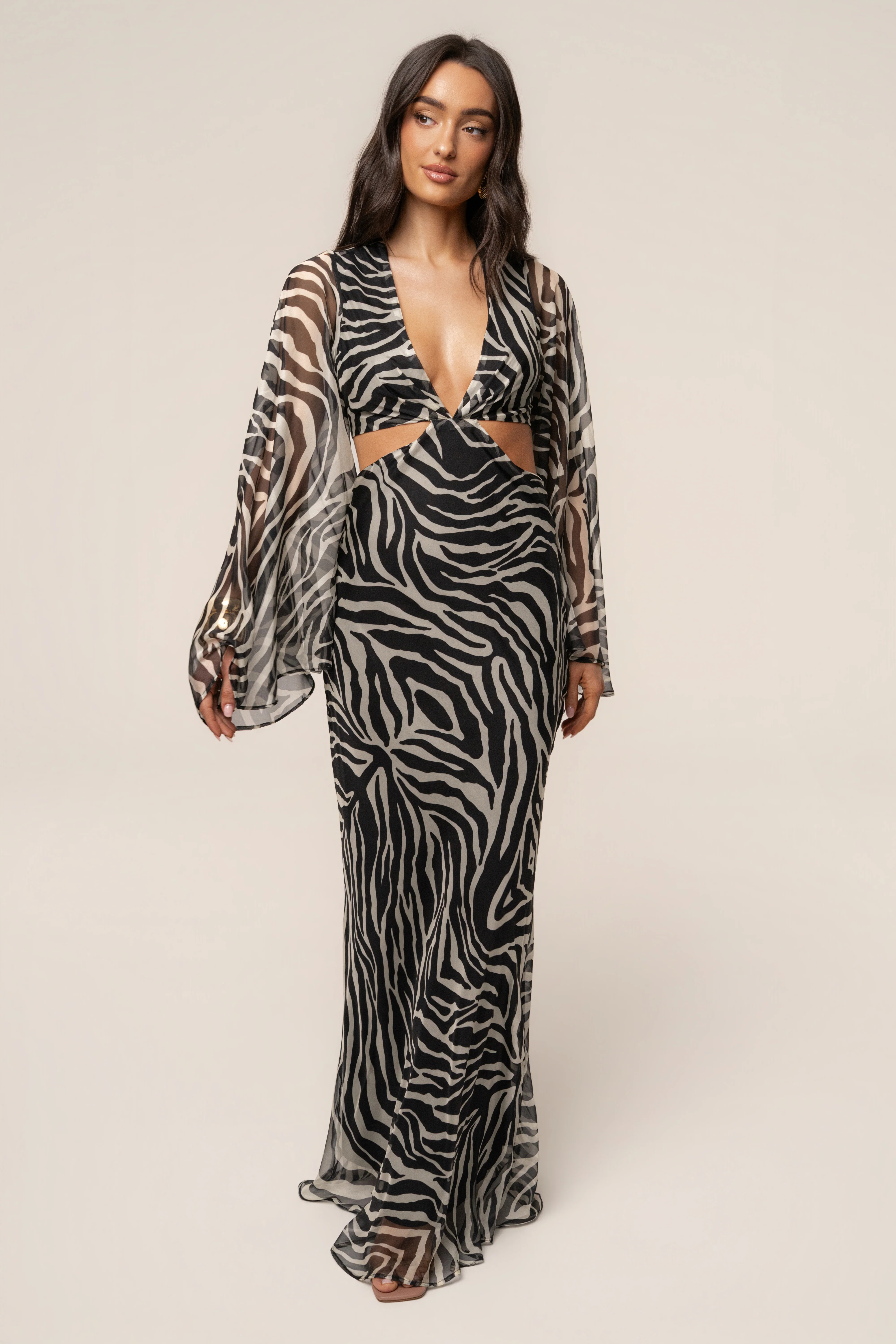 Black Zebra Instincts Print Maxi Dress