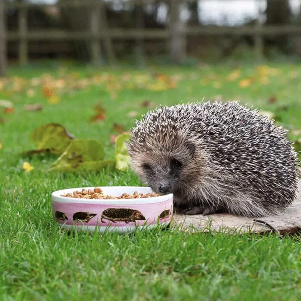 Wildbird Hedgehog Bowl