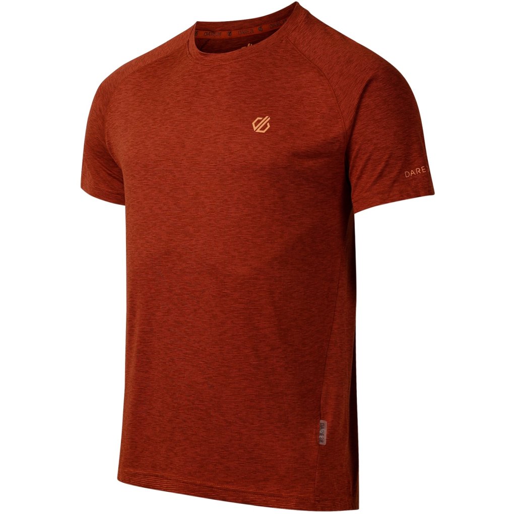 Dare 2b Persist Tee Men - ZSY ArabianSpice