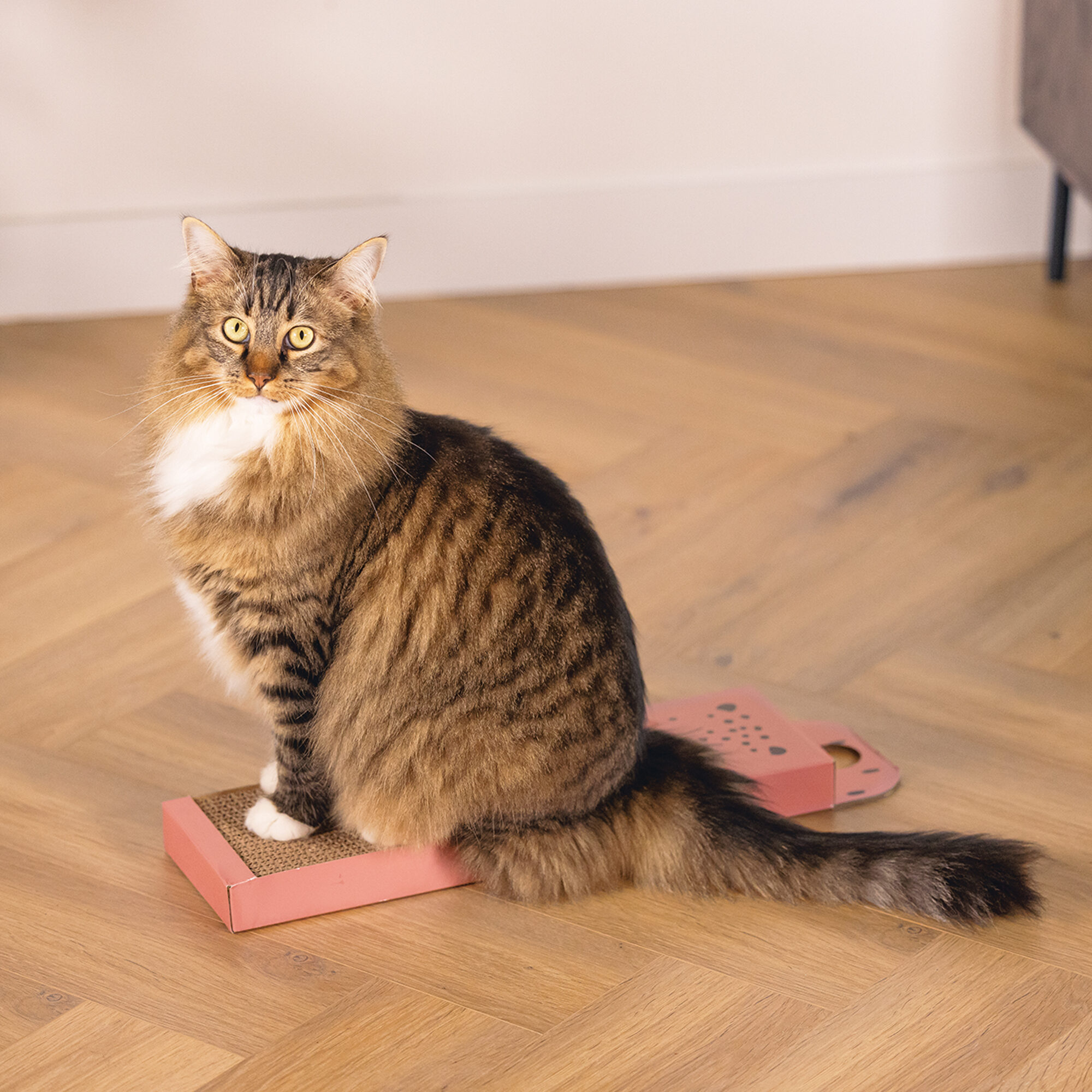 Beeztees Cardboard Scratching Board - Leopard