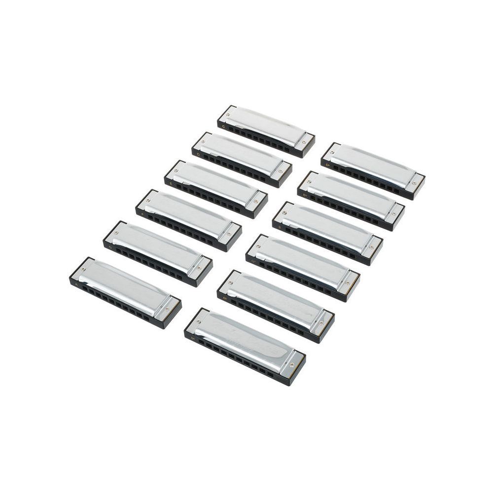Harley Benton Blues Harmonica Set – Thomann Ireland