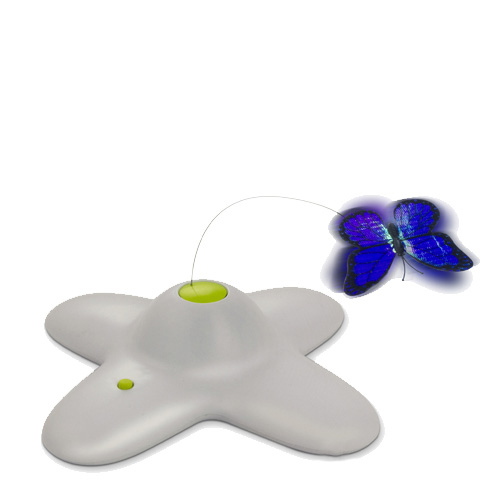 AFP Interactive Flutter Bug