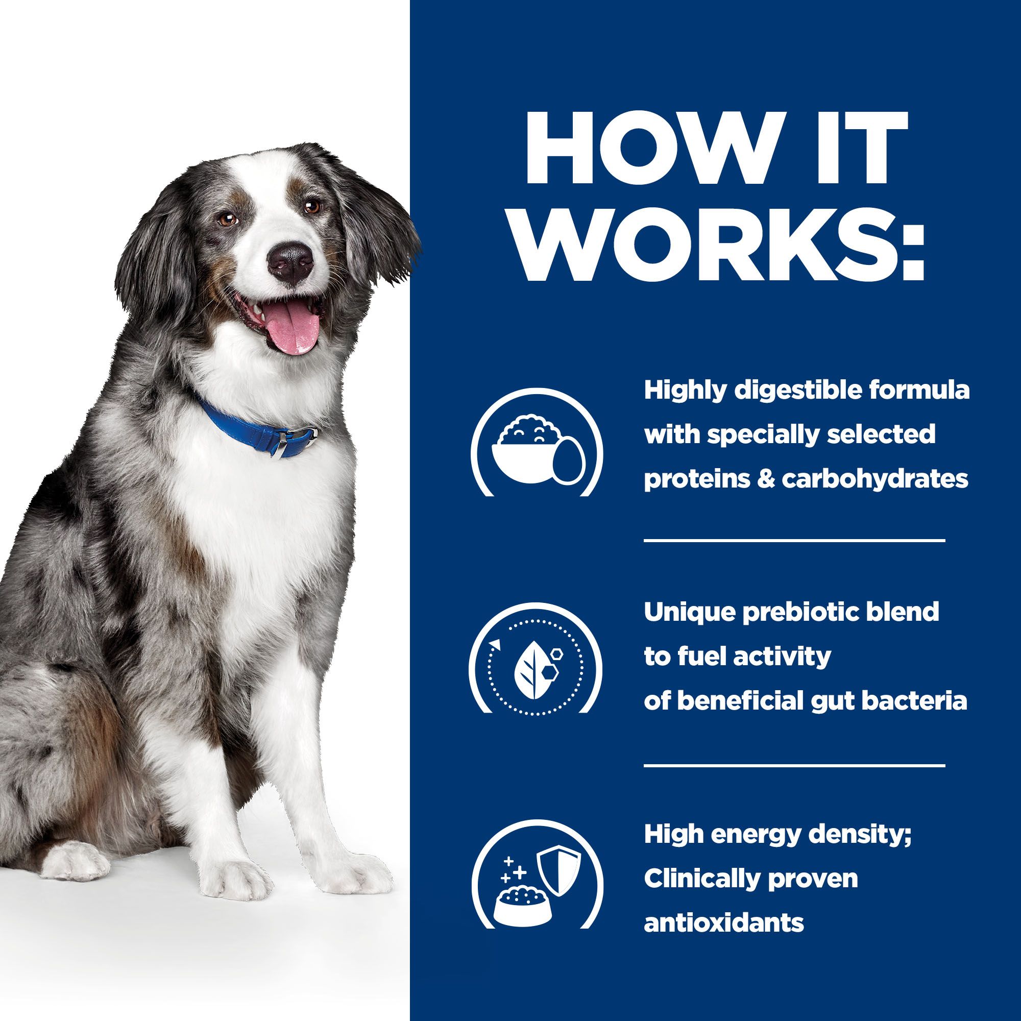Hill's Prescription Diet i/d Sensitive Digestive Care - Canine - 12 kg