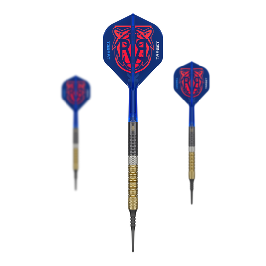 Target Raymond Van Barneveld GEN6 soft darts