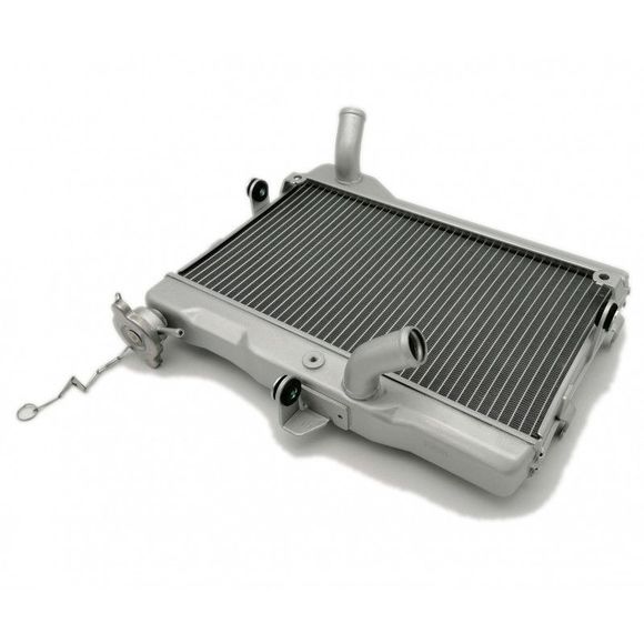 Radiateur Brazoline ADAPTABLERef : 56007