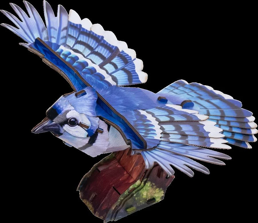 Make Bug Sky Echo Blue Jay D0056