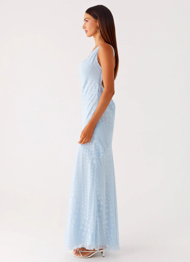 Sundance Chiffon Maxi Dress - Blue