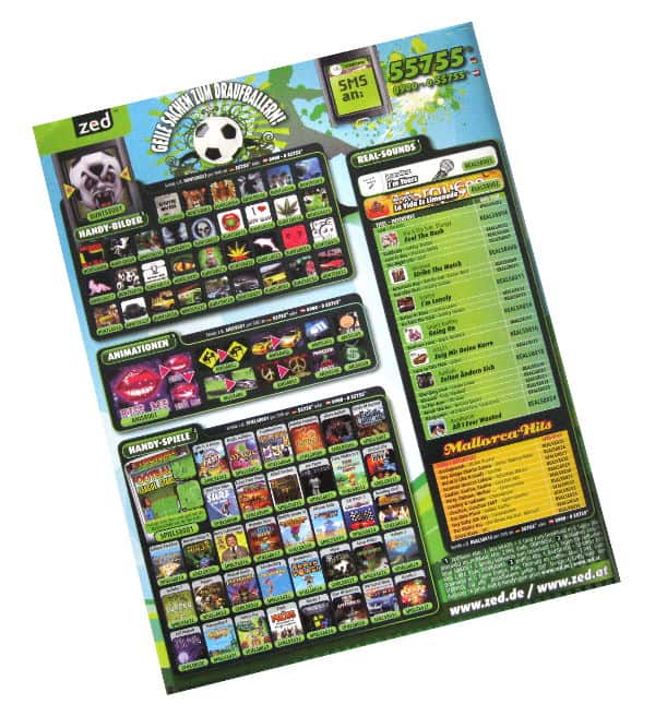 Panini Fussball Bundesliga 2008-2009 Album