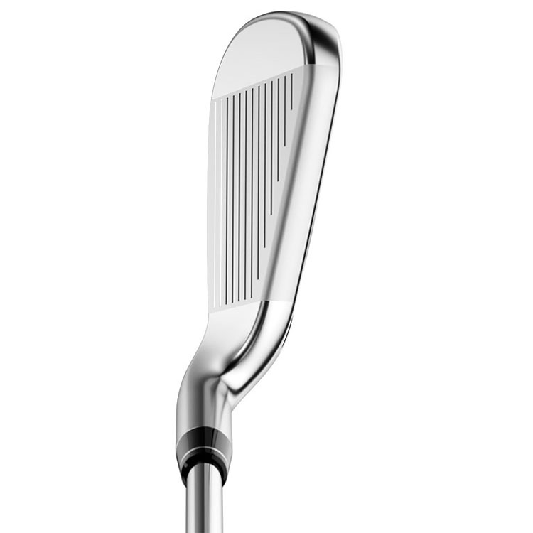Callaway Big Bertha B21 Golf Irons