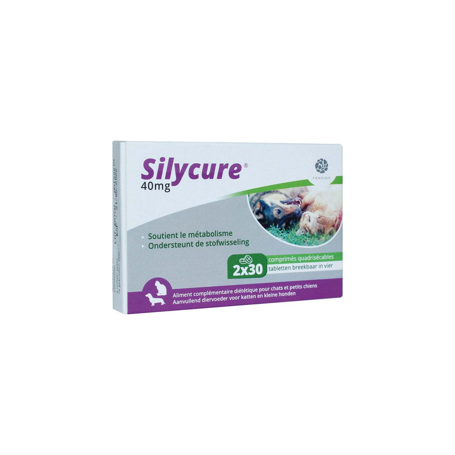 Silycure 40 mg - 60 tablets