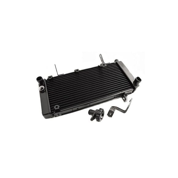 Brazoline adaptable water radiatorRef: RA2610