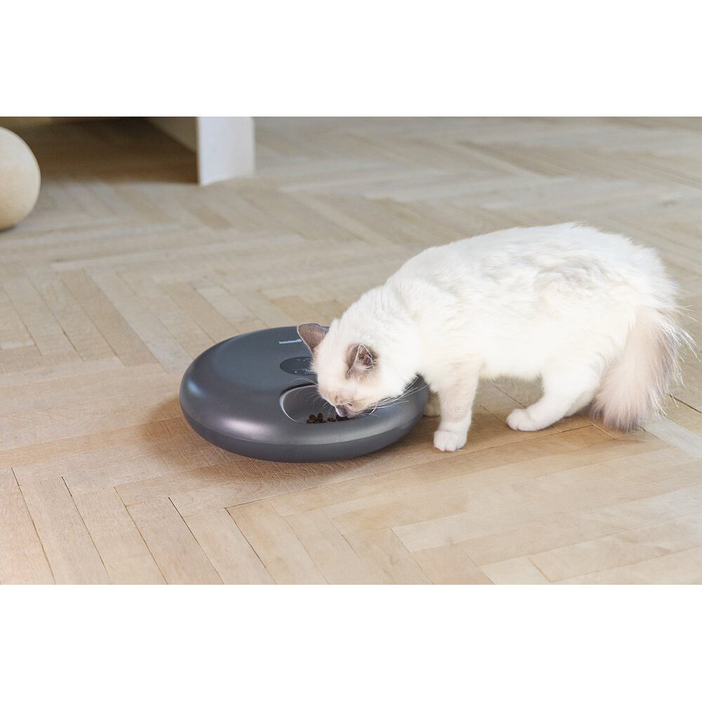 Beeztees Onni Automatic Pet Feeder - White