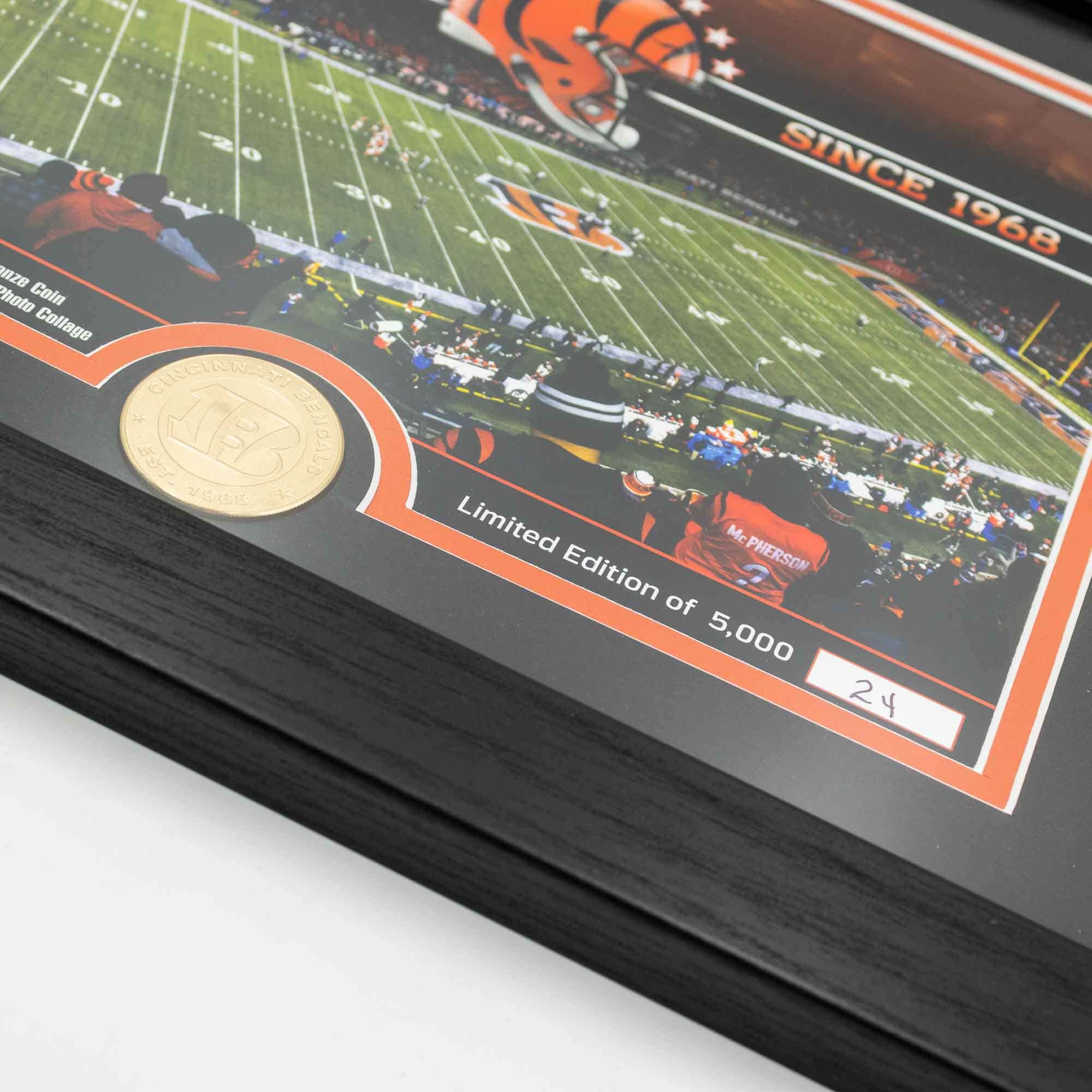 Cincinnati Bengals Team Stadium Bronze Coin Framed NFL Photo