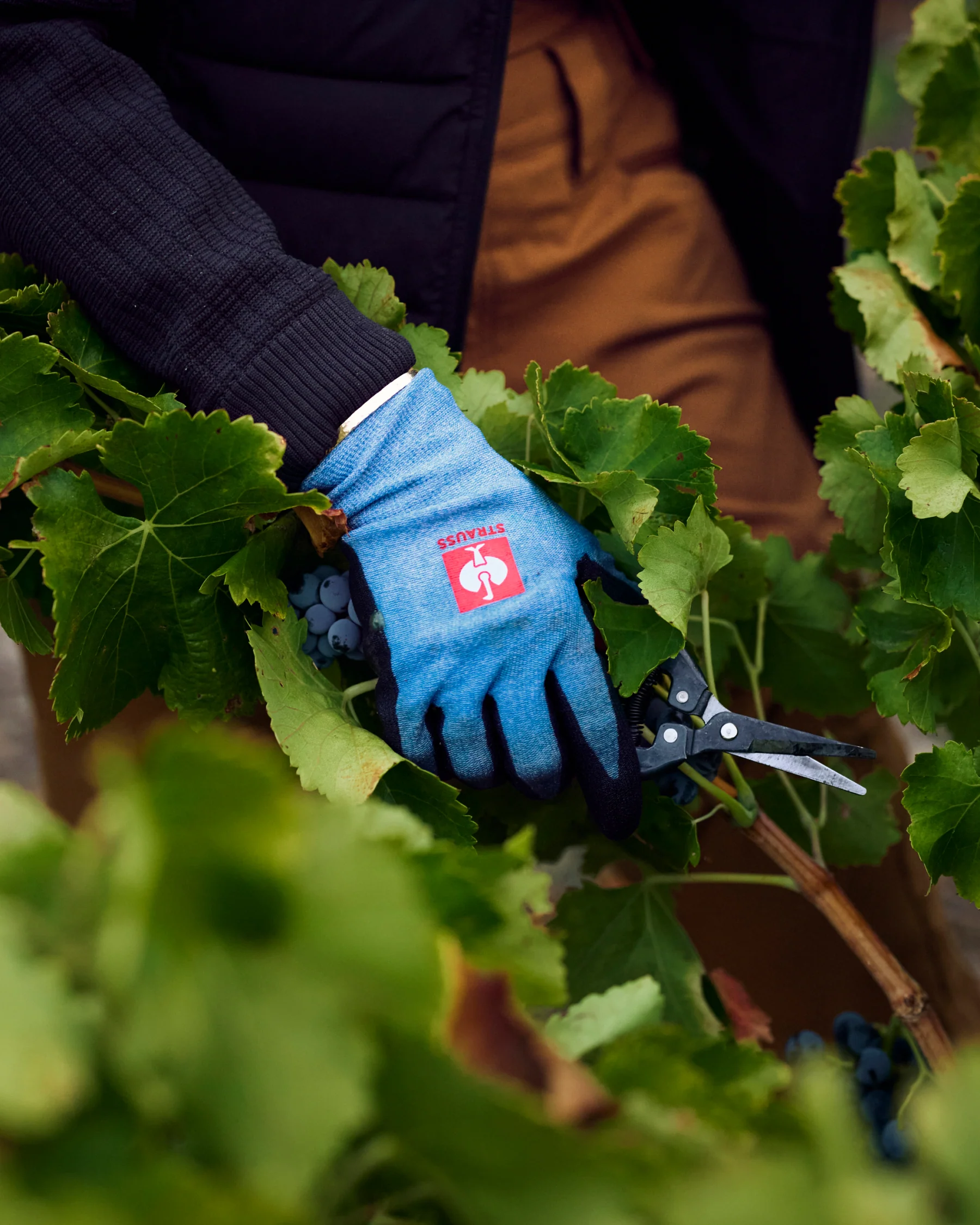 PU Cut Protection Gloves with Comfort Skin (Cut A2)