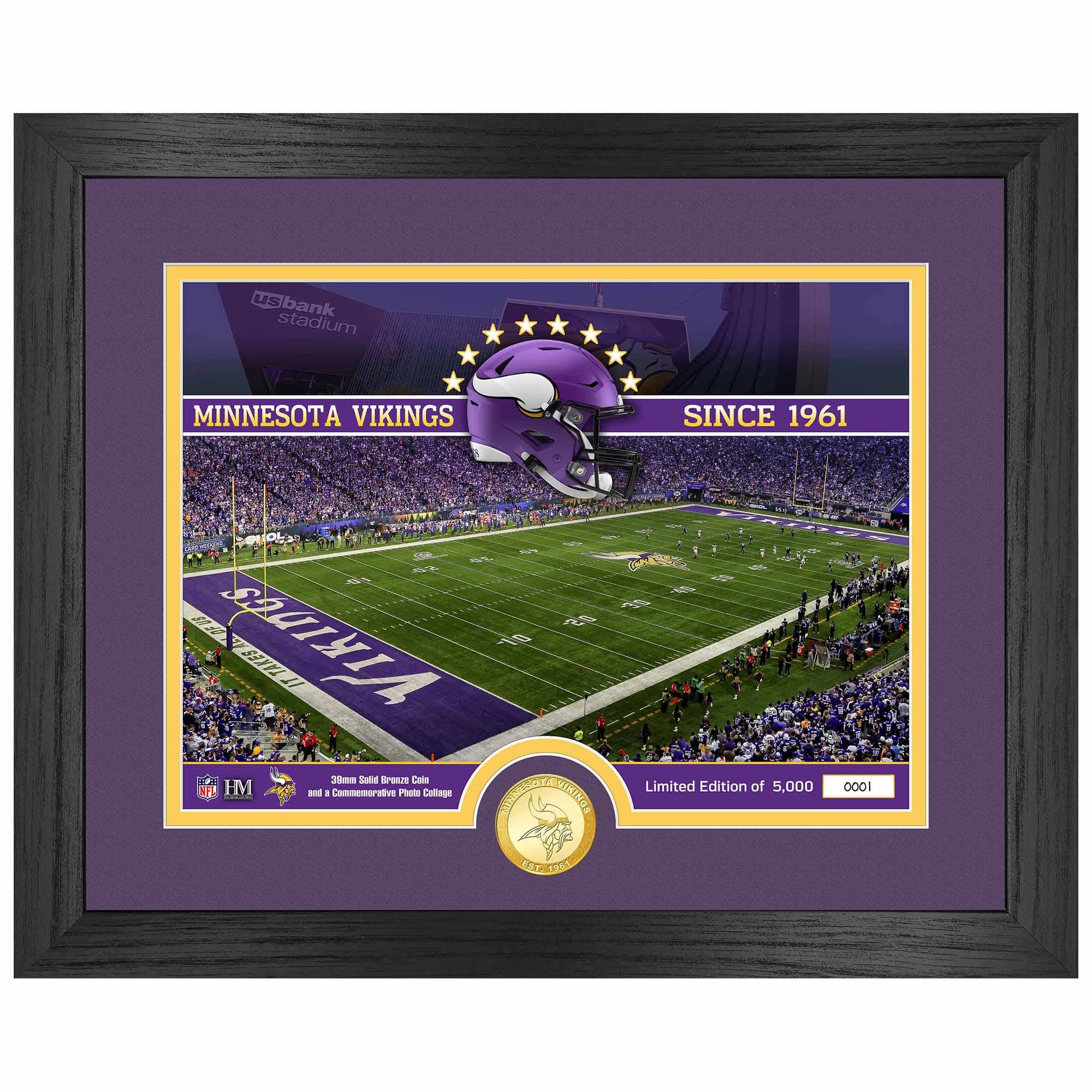 Minnesota Vikings Team Stadium Bronze Coin Framed NFL Photo