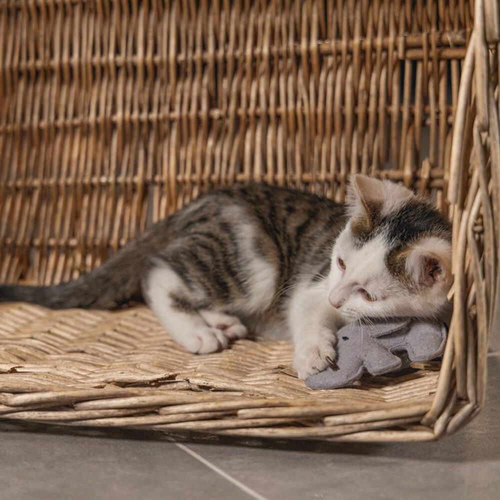 Beeztees Jungle Noddi