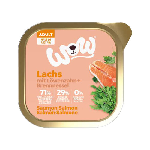 WOW! Adult Dog Food - Tub - Salmon - 11 x 150 g