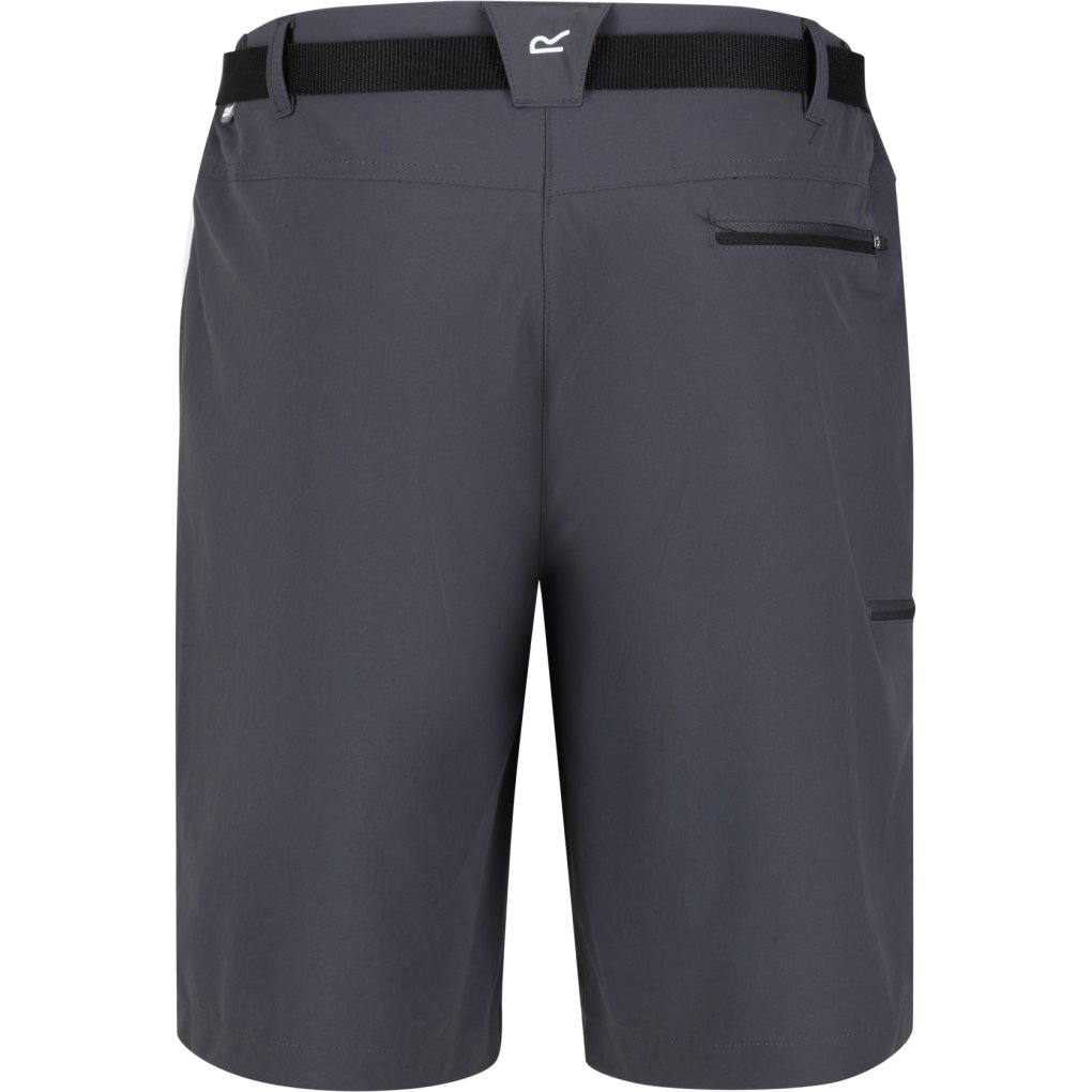 Regatta Xert Stretch Shorts III Men - Seal Grey 038