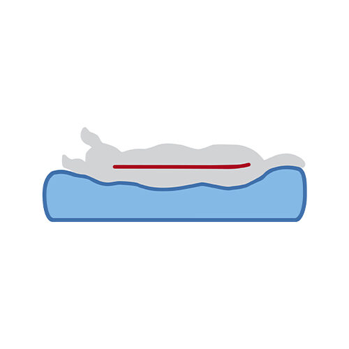 Trixie Samoa Vital Dog Mattress - Dark gray - 100 × 70 cm