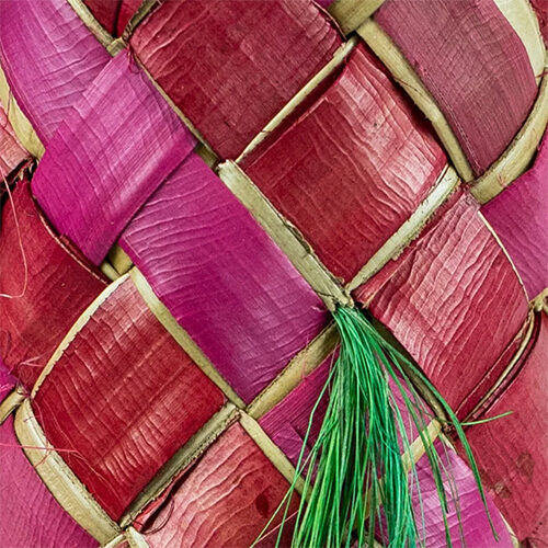 Back Zoo Nature Carnival Piñata